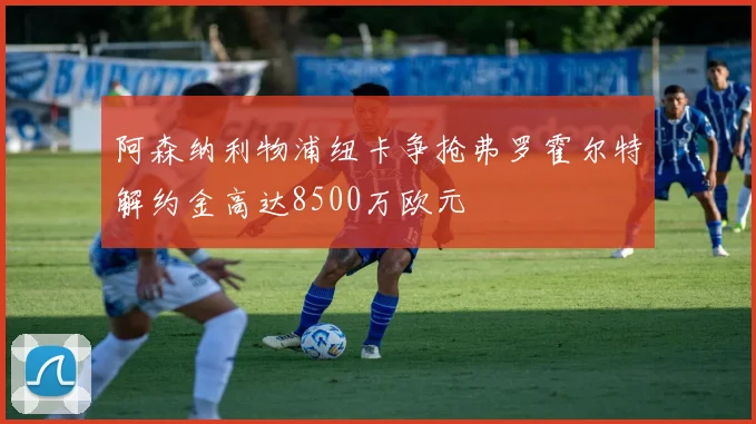 阿森纳利物浦纽卡争抢弗罗霍尔特解约金高达8500万欧元